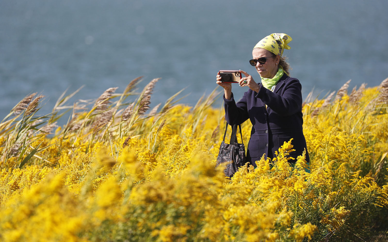 A field of gold